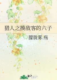 獵人之揍敵客的六子